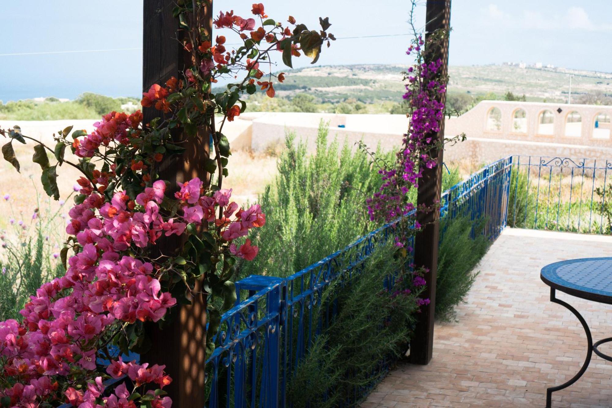 Villa Habibi 索维拉 外观 照片